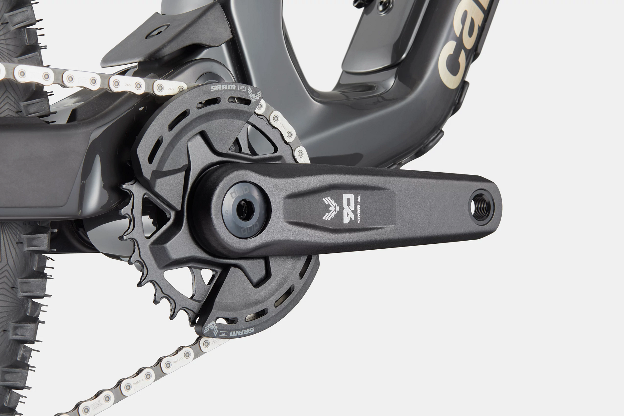 Cannondale Bad Habit 1 2026 Raw #4