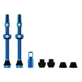 719389_t