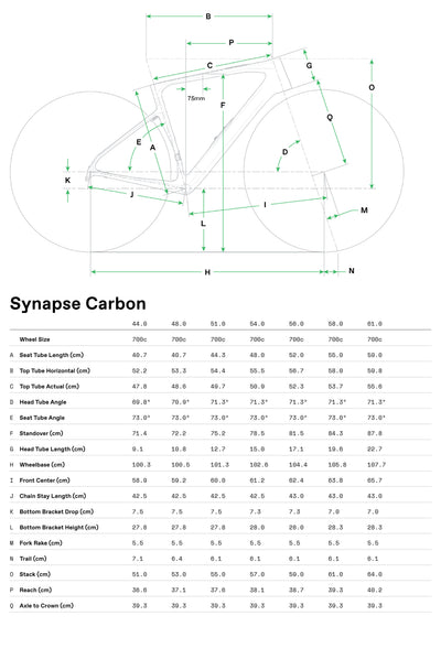 Synapse Carbon 1 Cannondale 2025 Tungsten Blue #8