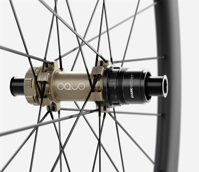 front-04-oquo-rp35ltd-xdr
